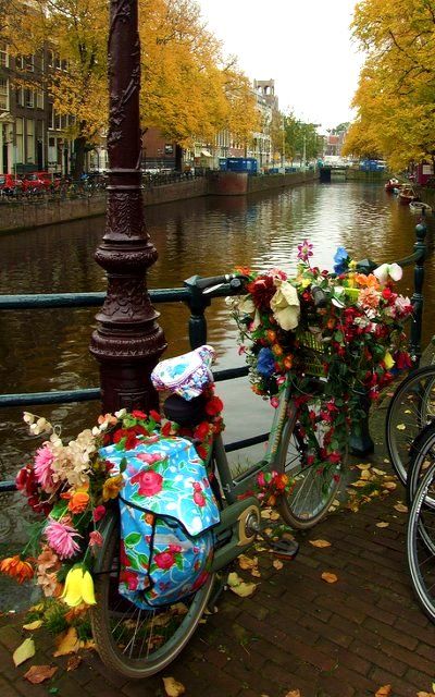 🌷AMSTERDAM: NÓI “KHÔNG” VỚI XE CHẠY BẰNG XĂNG