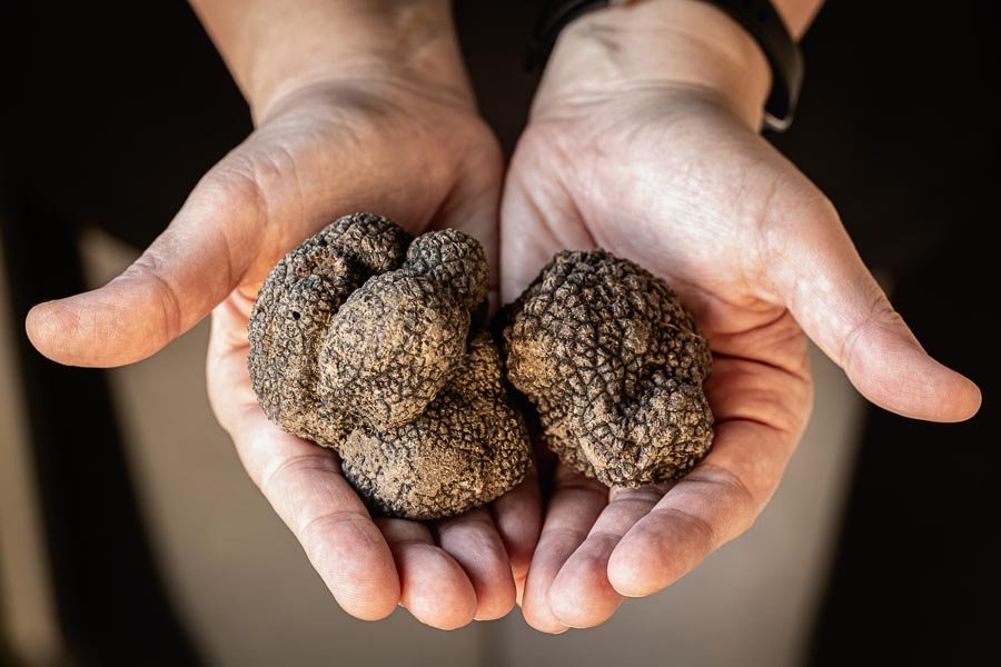 truffle