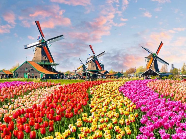 Vườn Hoa Keukenhof – Thiên đường hoa tulip đẹp như tranh vẽ