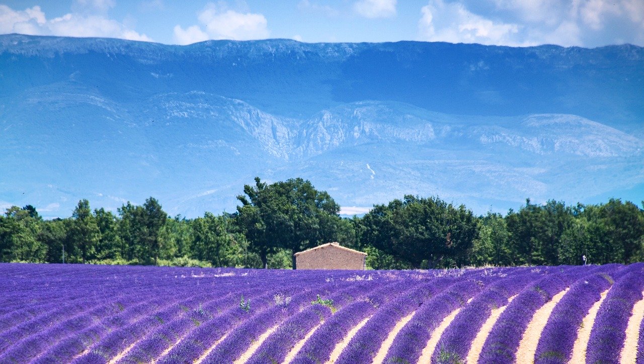 cao-nguyen-valensole