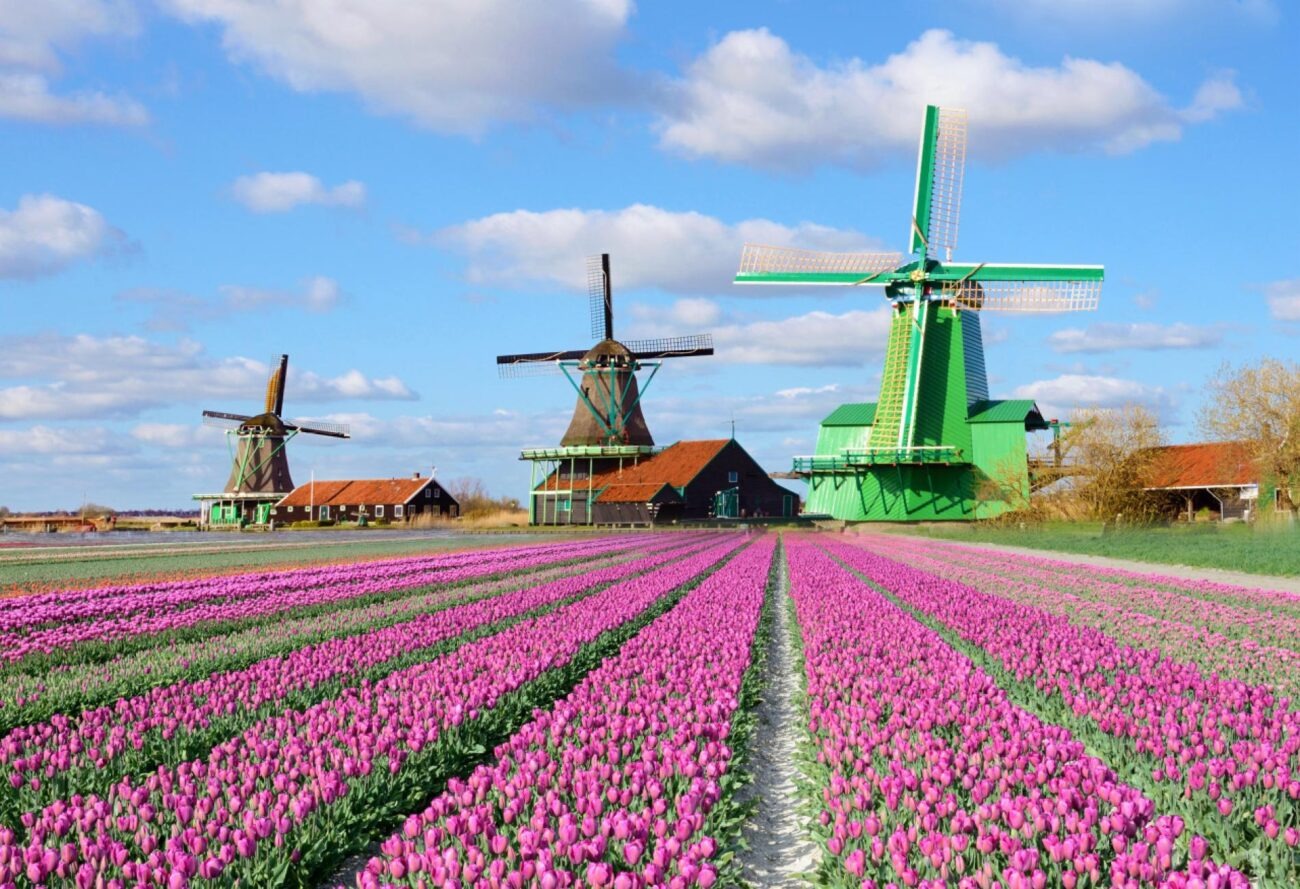 nen-di-zaanse-schans-vao-thoi-diem-nao